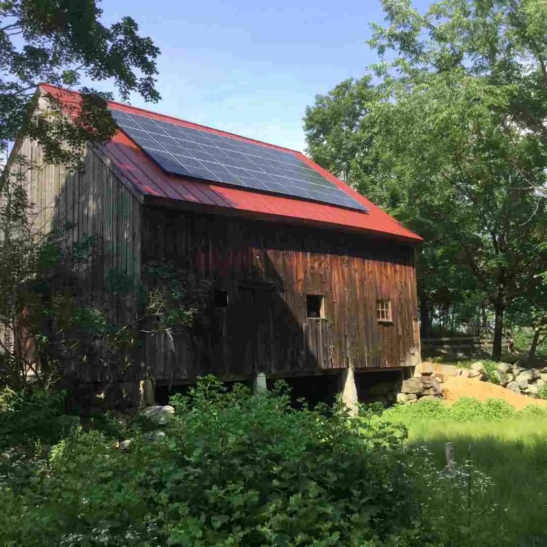 Black-and-White-Pattern-Photo-Profile-Instagram-Post-_3_